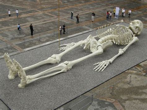 Nephilim Skeletons Pics - #GolfClub | Giant skeleton, Ancient aliens ...