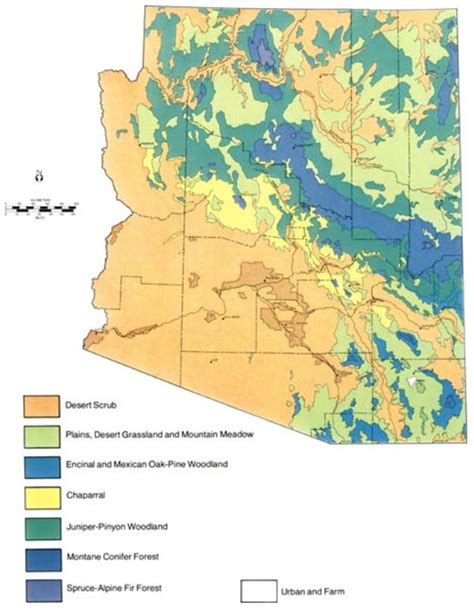 Sky Island Fire Ecology (U.S. National Park Service)