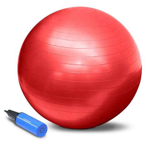 55cm Exercise Ball | Trimax Sports Inc.