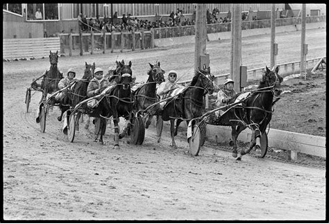 Harness racing – Miscellaneous Photographs