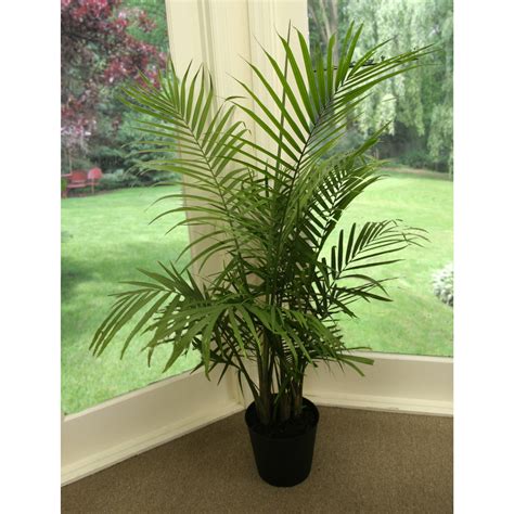 Indoor Majesty Palm in 10"" Pot" Outdoor Living Room Patio Garden House Tree | eBay