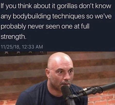 15 Joe Rogan Memes ideas | joe rogan, memes, joe rogan experience