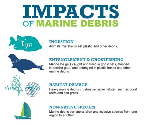 Mississippi Coastal Cleanup | OR&R's Marine Debris Program