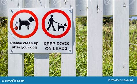 Dog Health and Safety Signs Stock Photo - Image of health, safety: 56369562