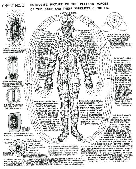 The Famous Polarity Therapy Man — Polarity Wellness