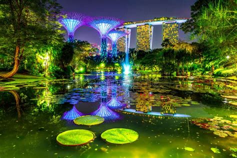 Gardens by the Bay night stock photo. Image of illuminated - 117180650