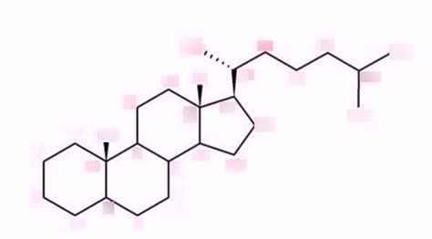 Steroid Nomenclature Diagram | Quizlet