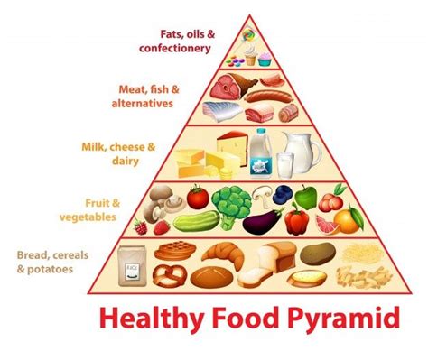 Free Vector | Healthy food pyramid chart | Lebensmittel, Kindergarten ...