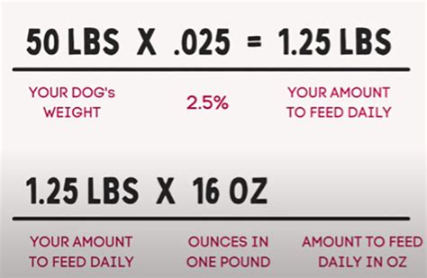 Dog Food Calculator By Weight - Detailed Breakdown