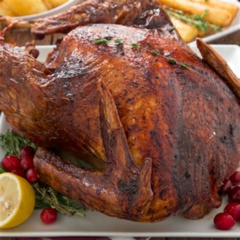 PERFECT TURKEY IN AN ELECTRIC ROASTER OVEN