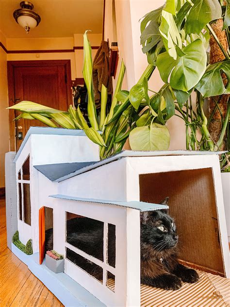 How to Make a Cardboard Cat House — The Green Mad House