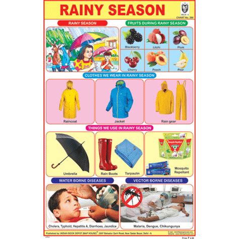 RAINY SEASON CHART SIZE 12X18 (INCHS) 300GSM ARTCARD