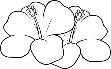 Tropical Flower Coloring Pages - GetColoringPages.com