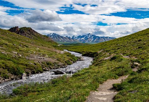 The 5 Best Denali National Park Day Hikes — Northern Epics