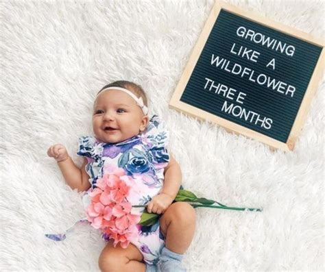 240 Seasonal Baby Photo and Letterboard Captions - Free to Birth