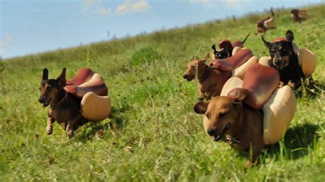 Heinz Ketchup Super Bowl 50 Commercial: "Wiener Stampede" - IGN Video