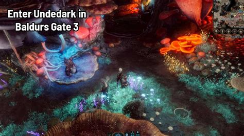 How to Enter Underdark in Baldurs Gate 3 - Secret Passage to Underworld