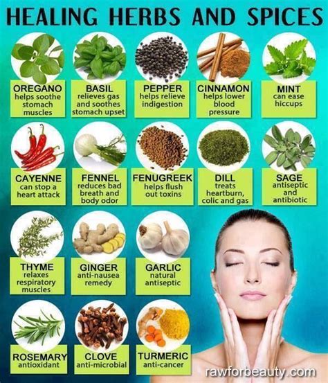 Healing Herbs And Spices | Healing herbs, Healthy herbs, Herbs for health