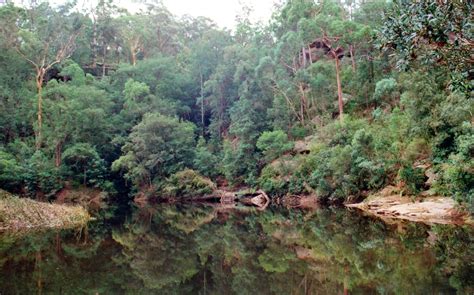 Blue Pool Glenbrook | Blue mountains australia, National parks, Blue pool