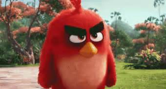 Angry Angry Birds GIF - Angry Angry Birds Bird - GIF を見つけて共有する