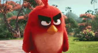 Angry Angry Birds GIF - Angry Angry Birds Bird - Discover & Share GIFs