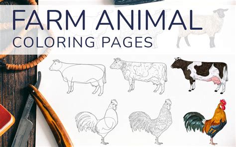 Farm Animal Coloring Pages - Pictures to Download and Color