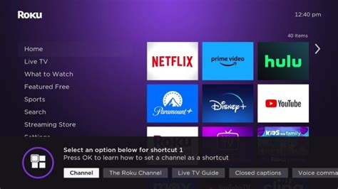 How To Reprogram Roku Remote Buttons Easily - PointerClicker.com