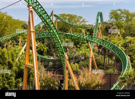 Cheetah Hunt roller coaster at Busch Gardens Tampa Bay in Tampa Stock ...