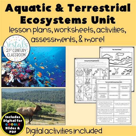 Aquatic and Terrestrial Ecosystems Unit