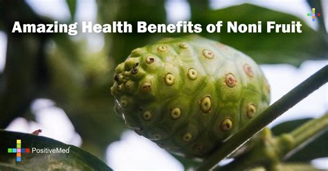 Amazing Health Benefits of Noni Fruit - PositiveMed