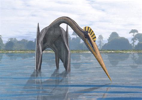 Hatzegopteryx thambema by paleopeter on DeviantArt