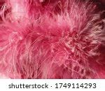 girl-in-fur-jacket-with-feather image - Free stock photo - Public Domain photo - CC0 Images