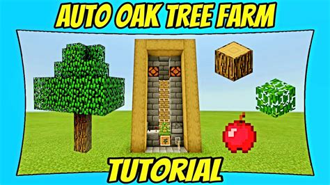 How To Build An Automatic Oak Tree Farm In Minecraft Bedrock Edition | #Minecraft #1man1game ...