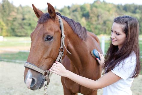 Healthy Coat Supplement for Horses - Improve Horse Coat Health