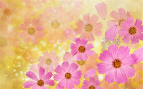 Spring Flowers Backgrounds Desktop - Wallpaper Cave
