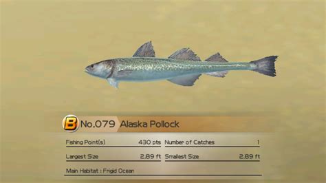 Alaskan Pollock | Wii Fishing Resort Wiki | FANDOM powered by Wikia