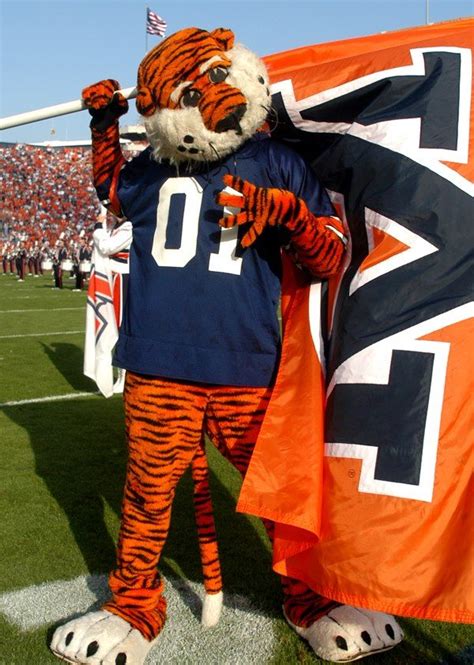 Aubie, the famed tiger mascot of the Auburn University Tigers ...