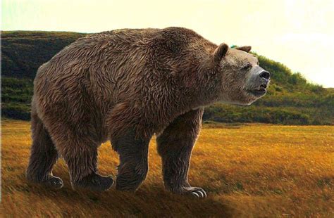 Short-faced Bear | Short faced bear, Megafauna, Prehistoric animals