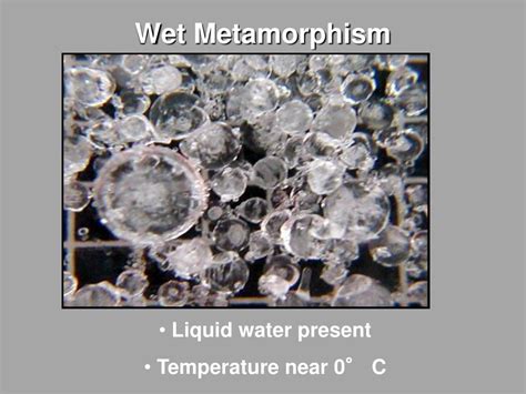 PPT - Snow Metamorphism PowerPoint Presentation, free download - ID:5322996