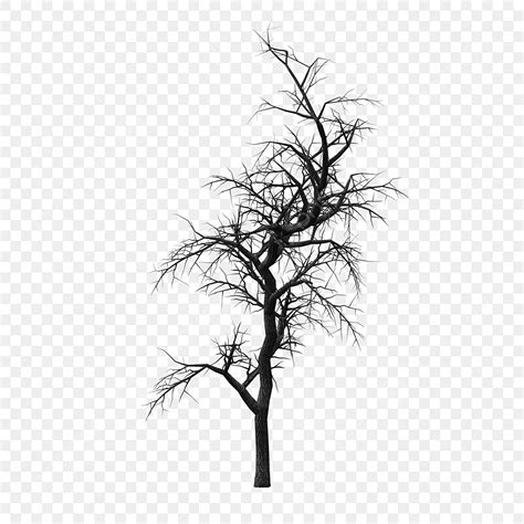 Winter Tree Branches PNG Transparent, Winter Tree Branches Bare Decorative Material Design, Tree ...