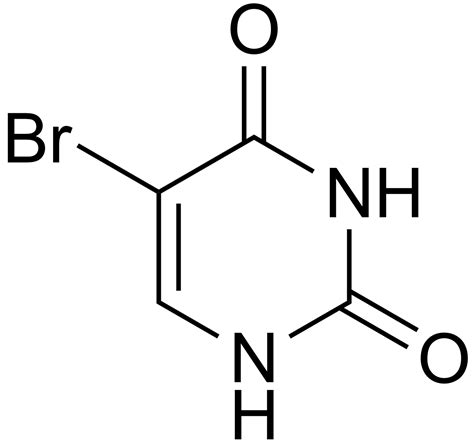 Which is a base analogue? | Biology Questions