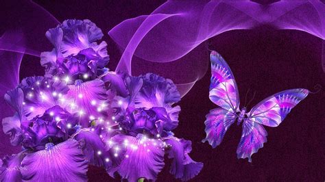 Midnight Purple Butterfly Wallpapers - Top Free Midnight Purple ...