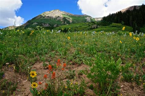 Crested Butte Hiking: 5 Bucket List Trails