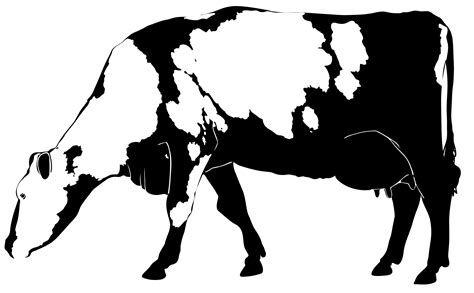 Angus cattle Beef cattle Silhouette Clip art - cow png download - 2400*1316 - Free Transparent ...
