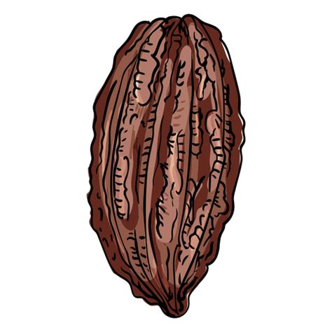 Cocoa pod illustration - Transparent PNG & SVG vector file