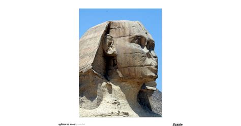 sphinx_no_nose_postcard-r5d1595e6512947b990dcaad45aa424bb_vgbaq_8byvr_1200.jpg?view_padding=[0. ...