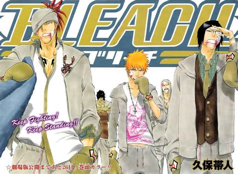 Covers - Bleach Manga & TV Photo (13909248) - Fanpop