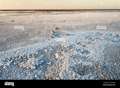 Lake Eyre salt crust in morning light Stock Photo - Alamy