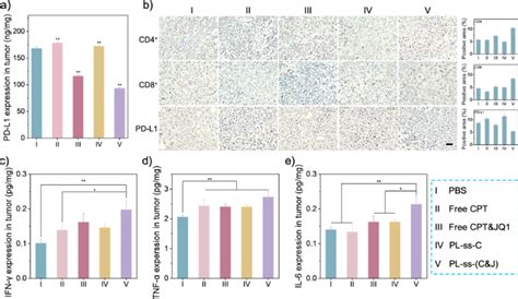 (a) ELISA analysis of PD-L1 molecule expression in isolated tumor of ...