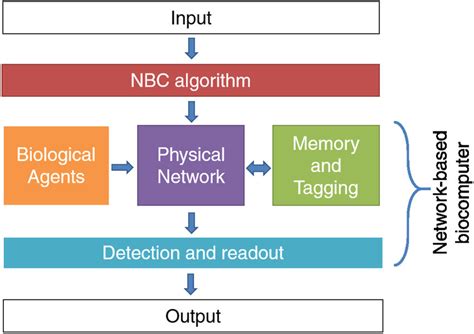 Architecture schematic of network-based biocomputing (NBC). | Download Scientific Diagram